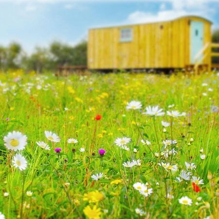 וודברידג' Honeysuckle Farm Holidays By Stay In Suffolk, Monk Soham מראה חיצוני תמונה