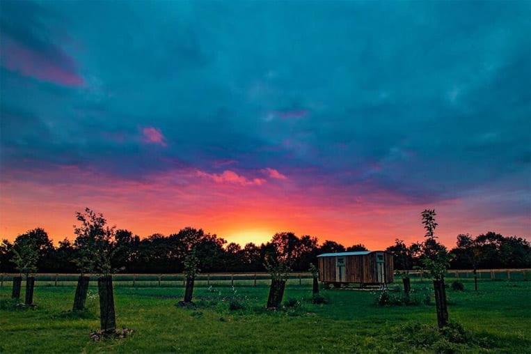 וודברידג' Honeysuckle Farm Holidays By Stay In Suffolk, Monk Soham מראה חיצוני תמונה