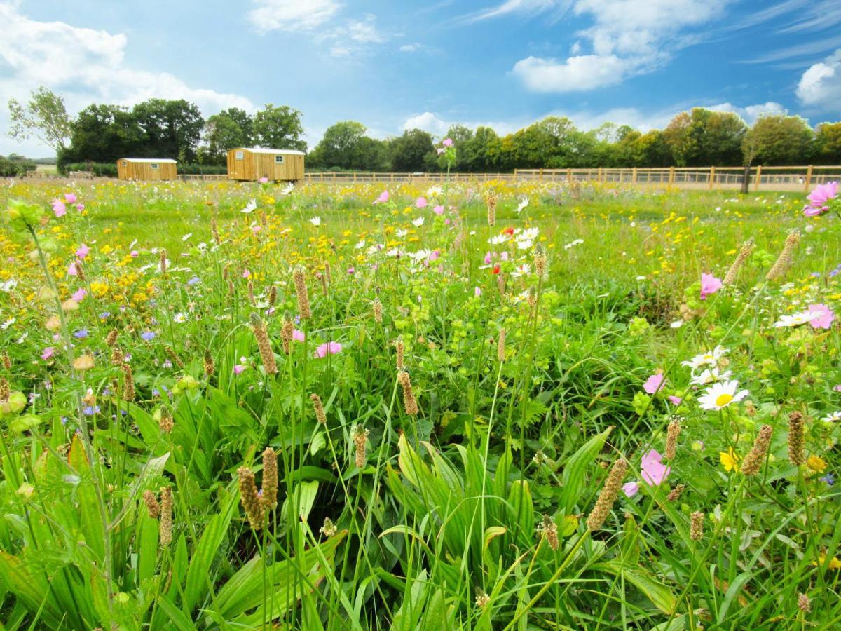 וודברידג' Honeysuckle Farm Holidays By Stay In Suffolk, Monk Soham מראה חיצוני תמונה