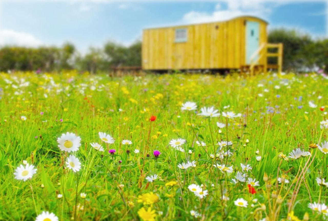 וודברידג' Honeysuckle Farm Holidays By Stay In Suffolk, Monk Soham מראה חיצוני תמונה